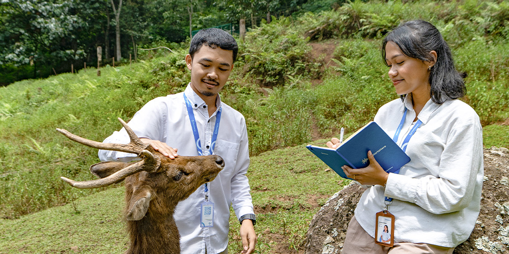 Sustainability Presentation