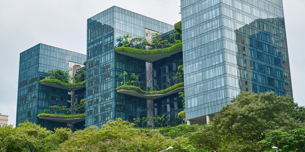 Sustainability Presentation