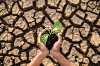 Sustainability Presentation